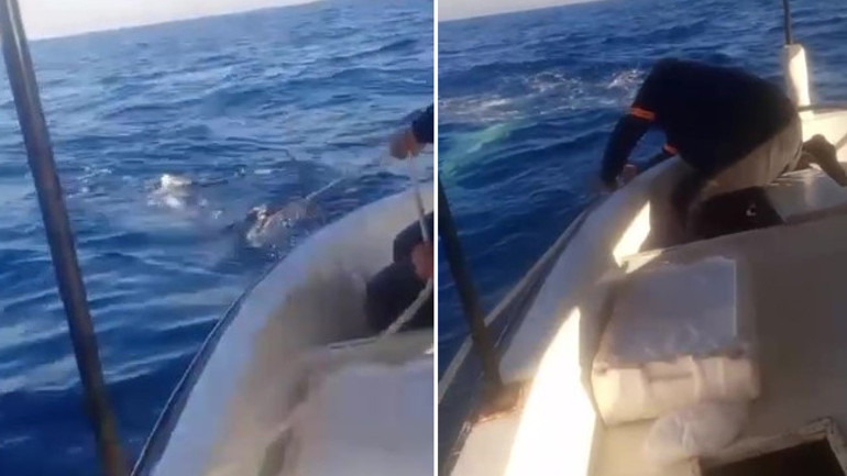 Akdeniz açıklarında görüldü Tekneyle aynı uzunlukta: Böylesini ilk defa gördüm, çok korktuk