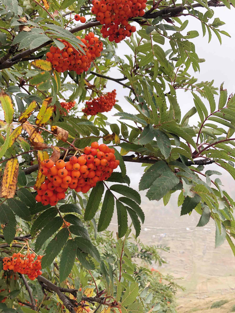 Kaçkarlar’da başka bir sonbahar var