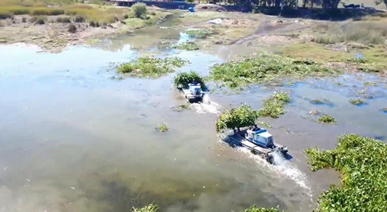 Asi Nehri ve Gölbaşı Gölü’nü kaplıyor Kadınlar tarafından toplanıyor: Yeniden doğuş hikayesi olacak