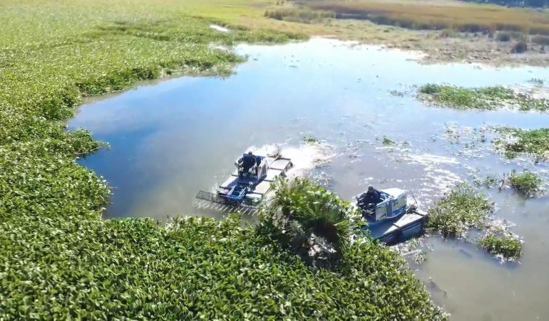 Asi Nehri ve Gölbaşı Gölü’nü kaplıyor Kadınlar tarafından toplanıyor: Yeniden doğuş hikayesi olacak