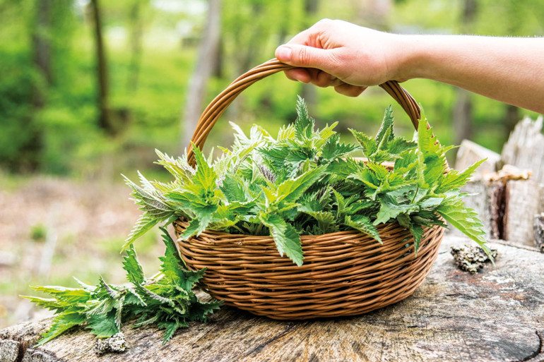 Gastronomi kazanında kaynayanlar