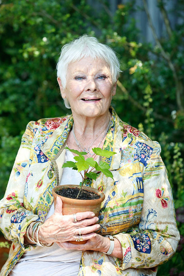 Sarı nokta hastalığı ünlü oyuncunun hayatını değiştirdi... Artık hiçbir şey göremiyorum