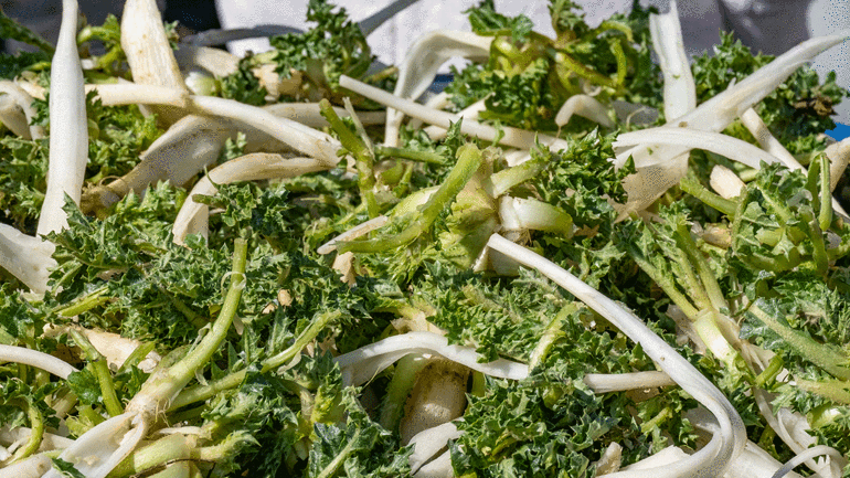 Şevketibostan nedir Şevketibostan nasıl pişirilir Şevketibostan pişirirken dikkat edilmesi gereken püf noktaları