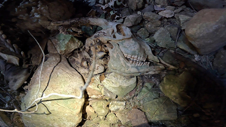 90 metrelik obruğa indi Girme, çıkamazsın dediler dinlemedi gördüklerine inanamadı: Hiç böyle bir şeyle karşılaşmadım