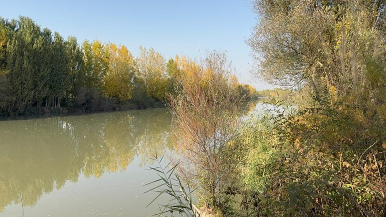 Arama çalışmalarından görüntü