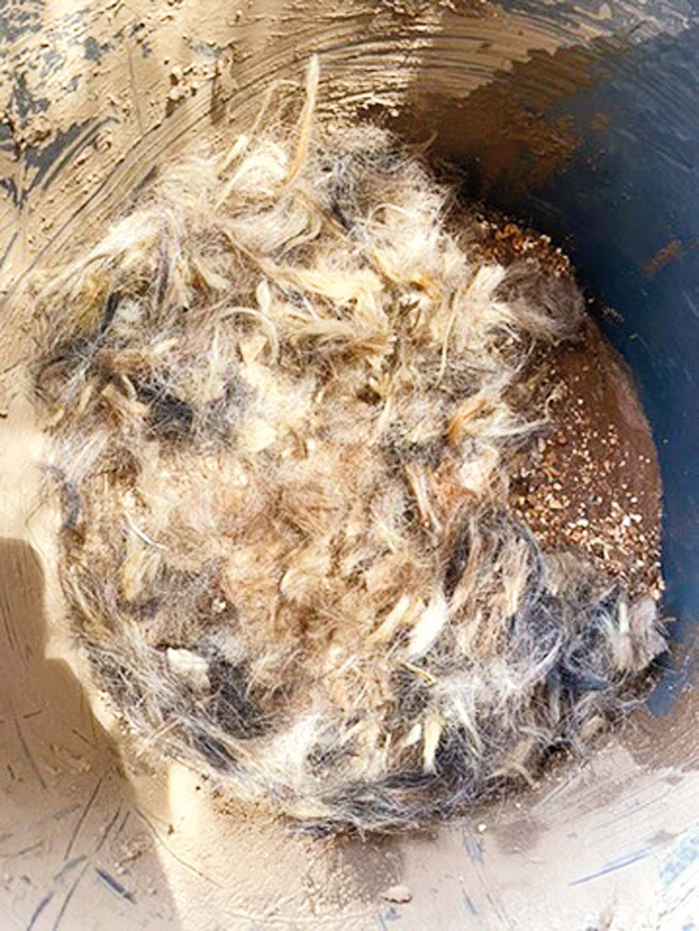 Göbeklitepe’yi bir arada tutan harç