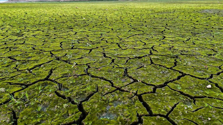 Ömerli Barajı'nda azalan su seviyesi, kuruyan alanlar