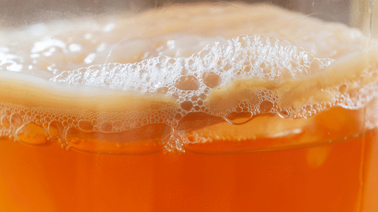 Sağlıklı beslenmeye özen gösterenler için iki probiyotik tarif: Kefir ve kombucha