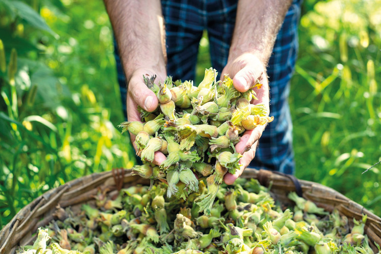 Yerel üreticiden kışlık alışveriş