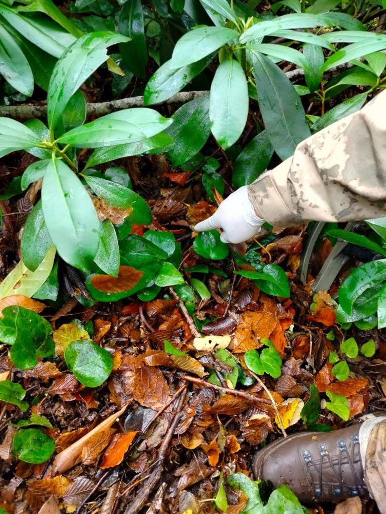 Soruşturma ve inceleme çalışmaları