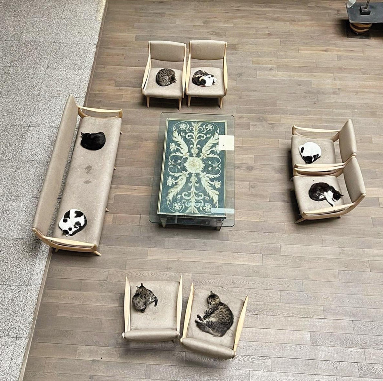 Irkları sandığımızdan daha çeşitliymiş