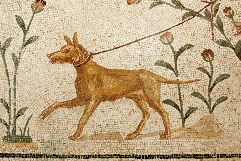 Irkları sandığımızdan daha çeşitliymiş