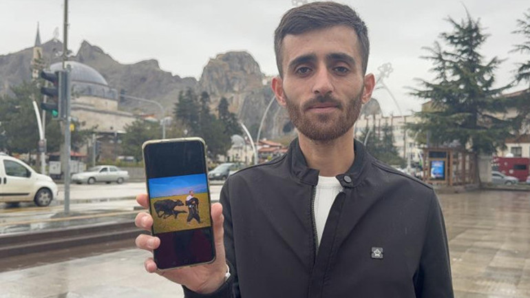 Yeni doğmuş buzağıyı takip eden anne hayvan ve onu taşıyan çiftçi