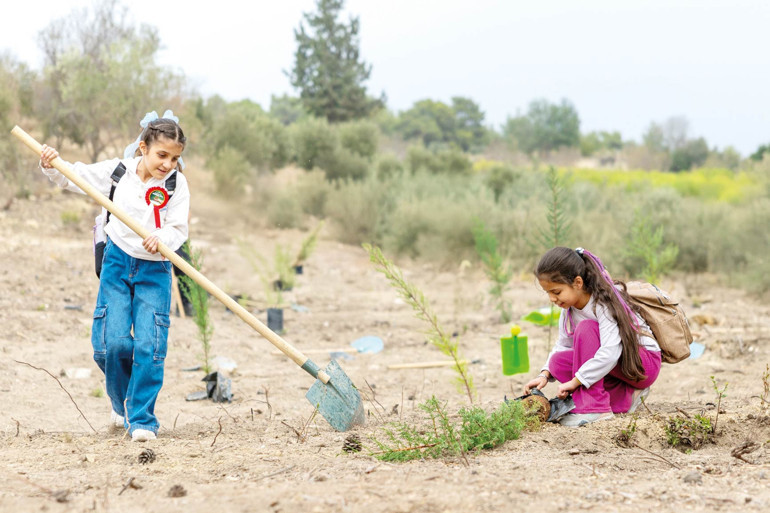 11 Kasım rekoru: 14.9 milyon fidan toprakla buluştu