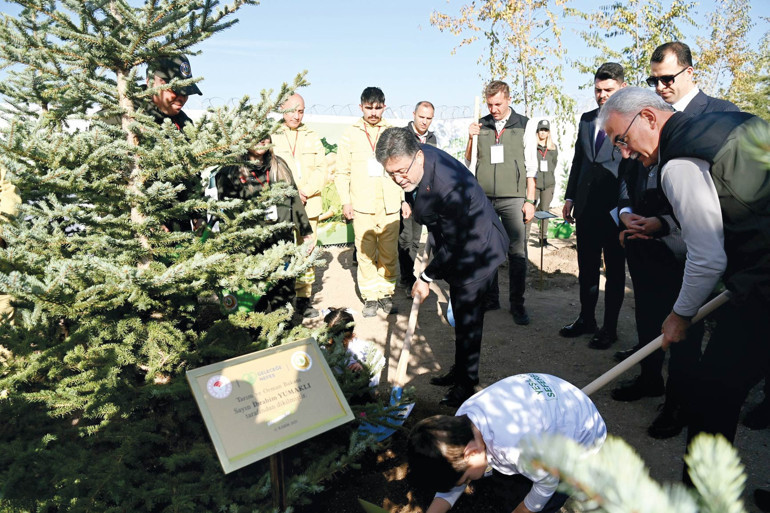 11 Kasım rekoru: 14.9 milyon fidan toprakla buluştu