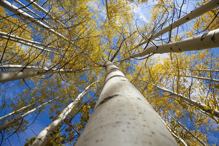 Tunceli’nin yeni ekoturizm rotası: Salördek