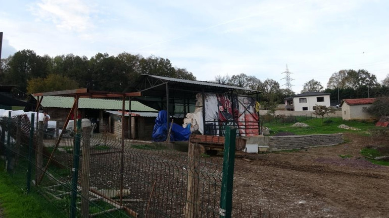 İstanbulda şap alarmı: Şilede 3 köy karantinada, 18 mahalle gözetim altında