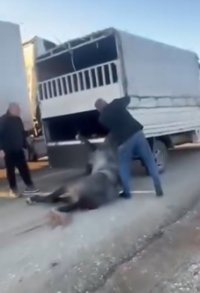 Kamyonetin arkasına bağladığı atı dakikalarca sürükledi