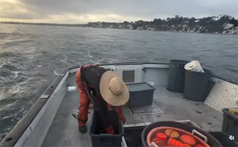 Efsane mankenin yeni mesleği: O şimdi balıkçı oldu