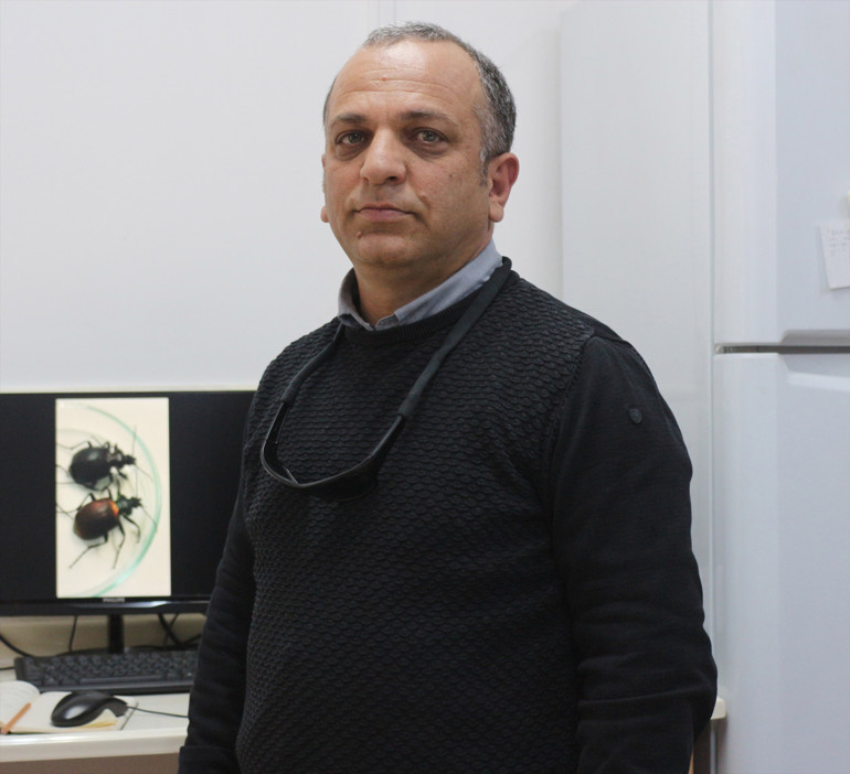 Zehirlenme faciasıyla gündeme geldi Alüminyum fosfit uyarısı: Bakkalda bile satılıyor, duvardan bile sızabiliyor