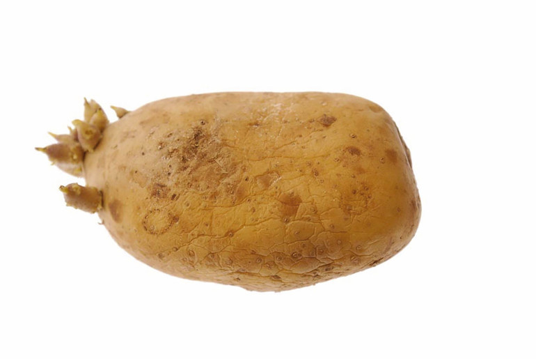 Gastronomi kazanında kaynayanlar