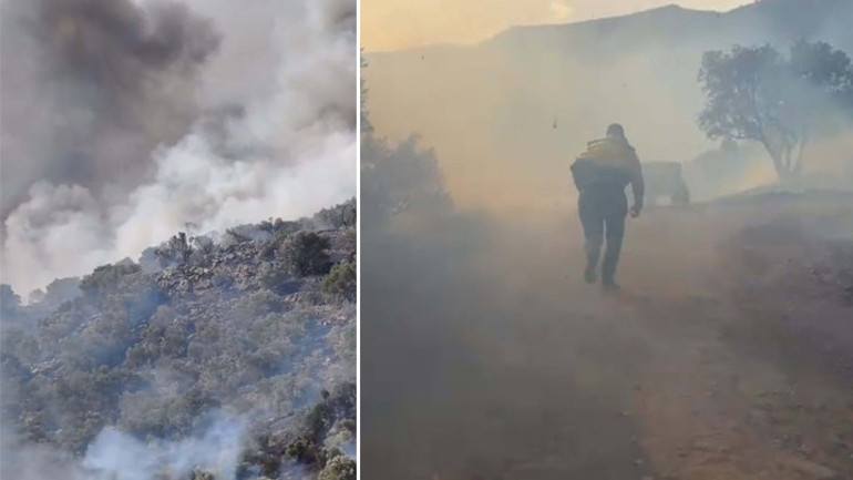 Bozdoğan’da orman yangını görüntüsü