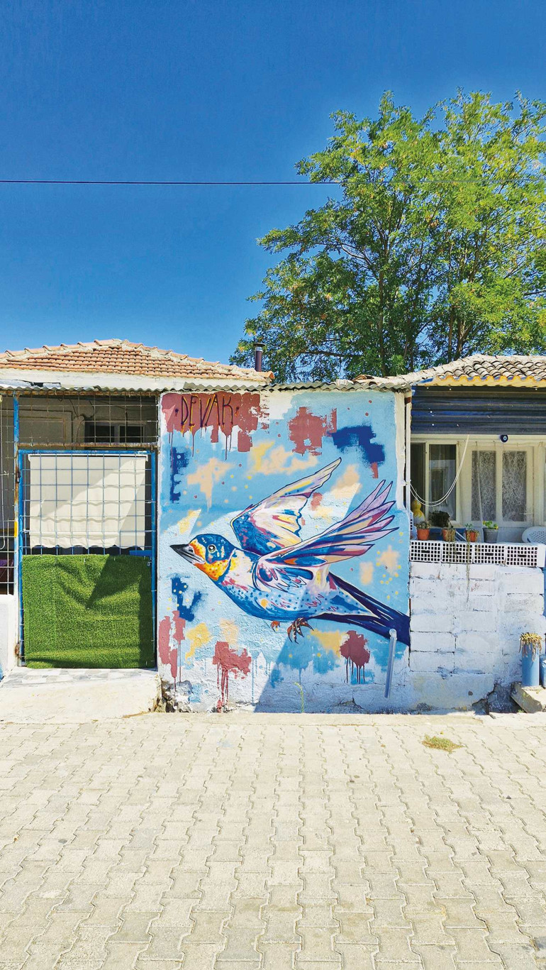 ‘Sanatın herkes tarafından görülebilir ve ulaşılabilir olması gerek’