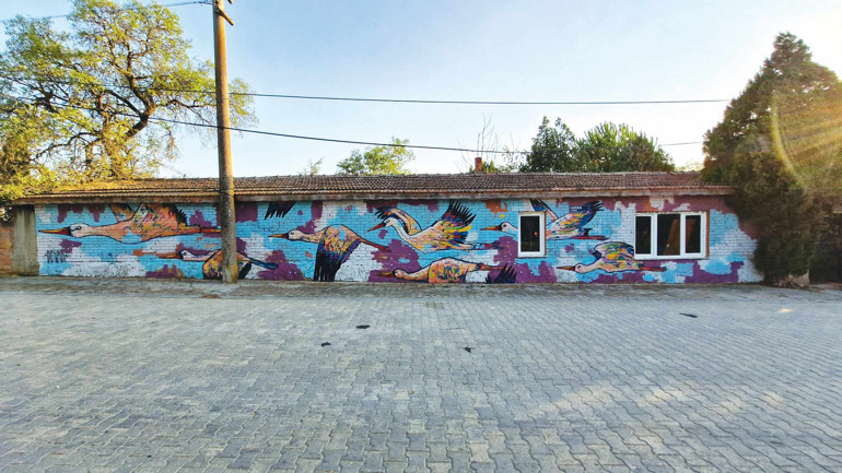 ‘Sanatın herkes tarafından görülebilir ve ulaşılabilir olması gerek’