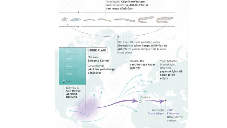 Esrarengiz rotalardan gelen binlerce yıllık ders