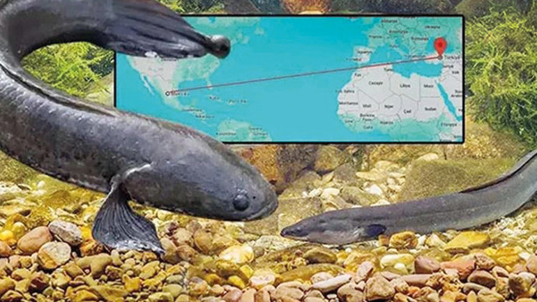 Esrarengiz rotalardan gelen binlerce yıllık ders