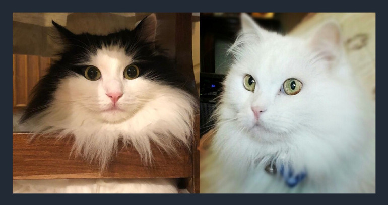 Bu dünya sadece insanlara ait değil …