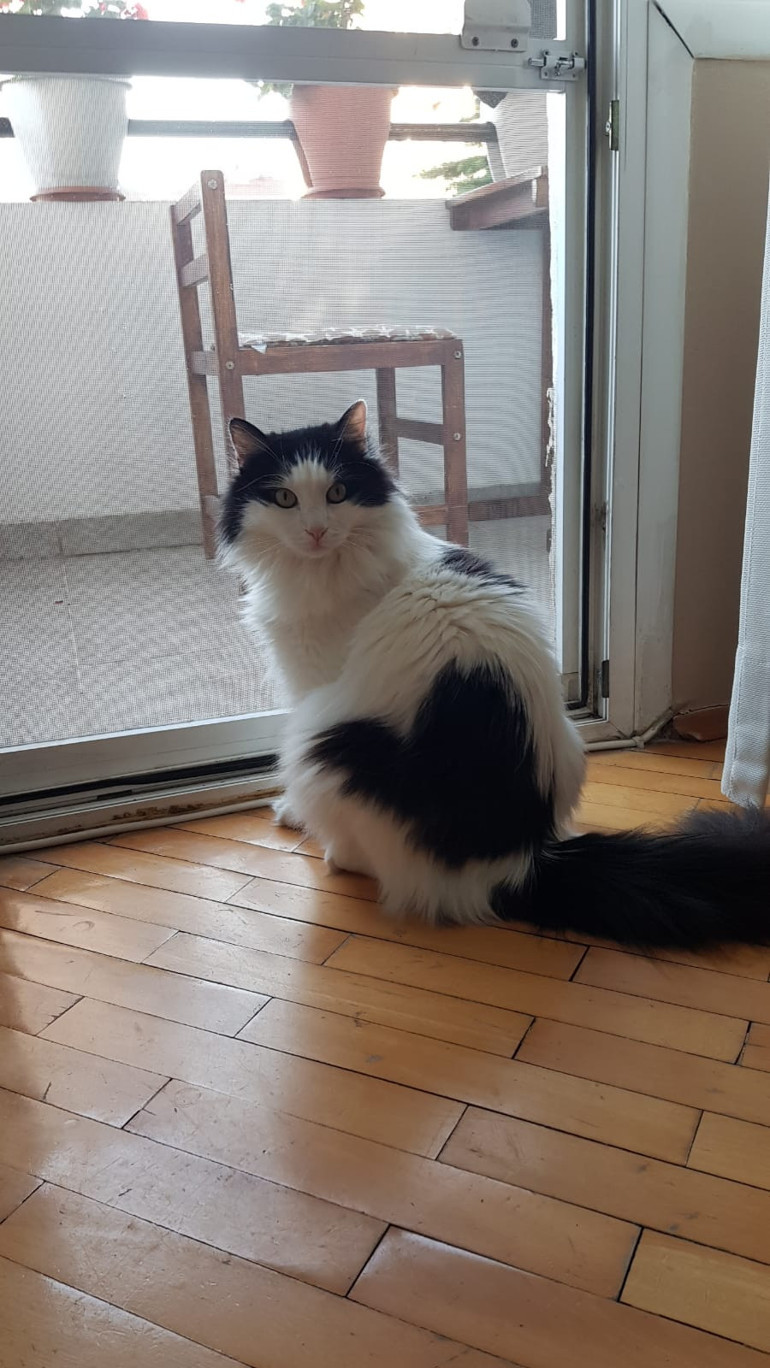 Bu dünya sadece insanlara ait değil …