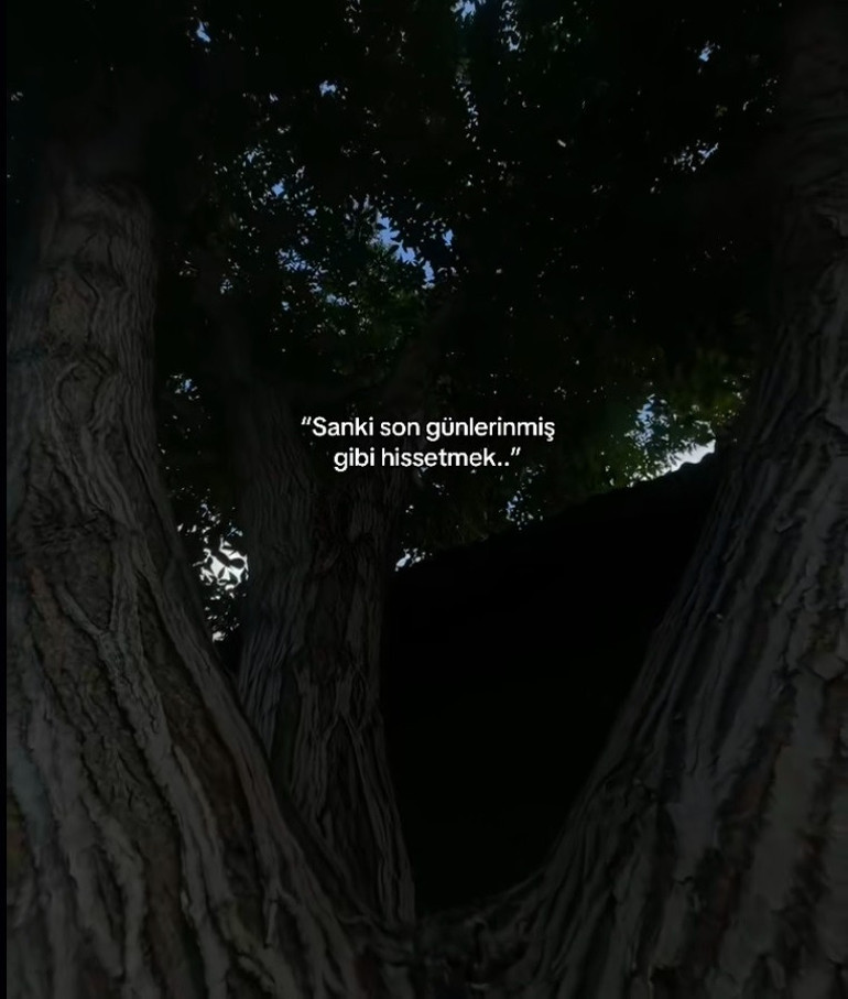 Yurtta 4üncü kattan düşerek hayatını kaybetmişti Sosyal medya paylaşımları ortaya çıktı: Sanki son günlerinmiş gibi hissetmek...