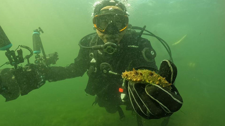 Belediye başkanı İzmit Körfezinin derinliklerine indi: Gözlerine inanamadı Burada çok daha farklı şeyler görmeye başlayacağız
