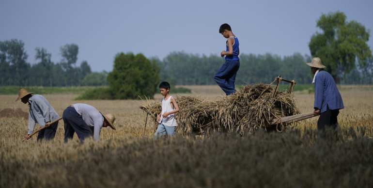 Uluslararası Suç ve Ceza Film Festivali gün sayıyor | Prof. Dr. Bengi Semerciyle adalet, sinema ve film festivalleri üzerine bir söyleşi