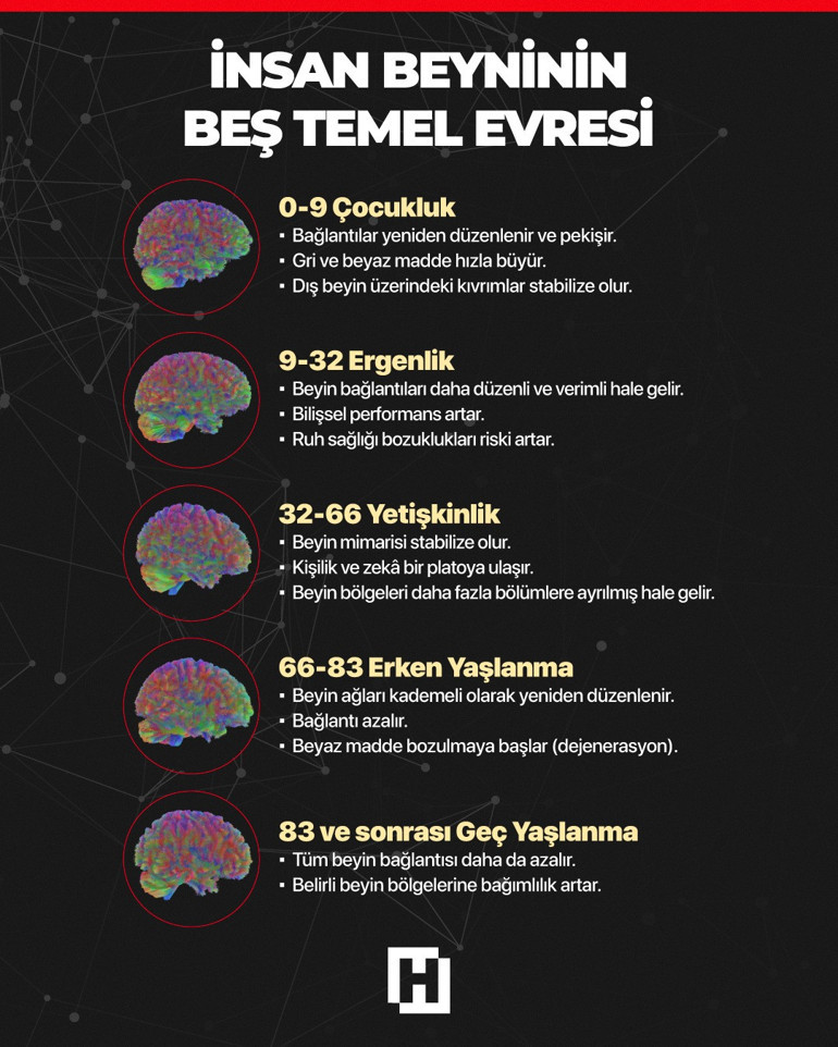 Bu araştırma yaşla ilgili bildiğimiz her şeyi yerle bir etti 32 yaşında ergenlikten çıkıyor, 66’da ise yaşlanmaya başlıyormuşuz