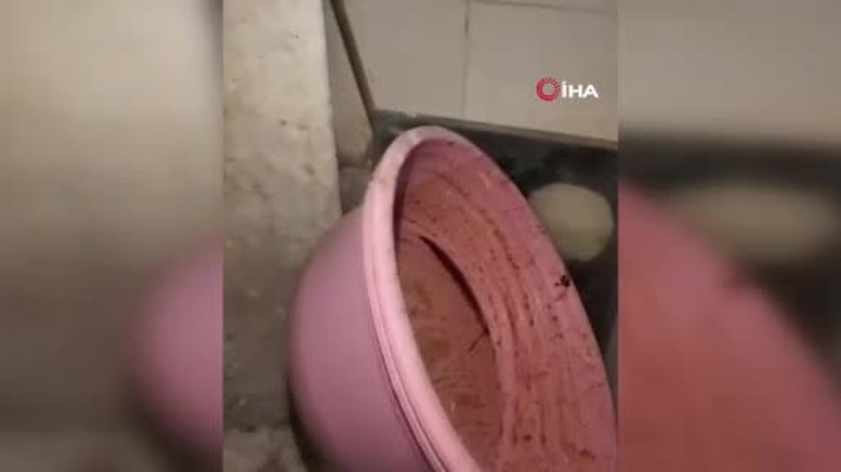 Zabıta tokat gibi sözlerle mühürlemişti Türkiyenin konuştuğu pideciye bu yazı asıldı