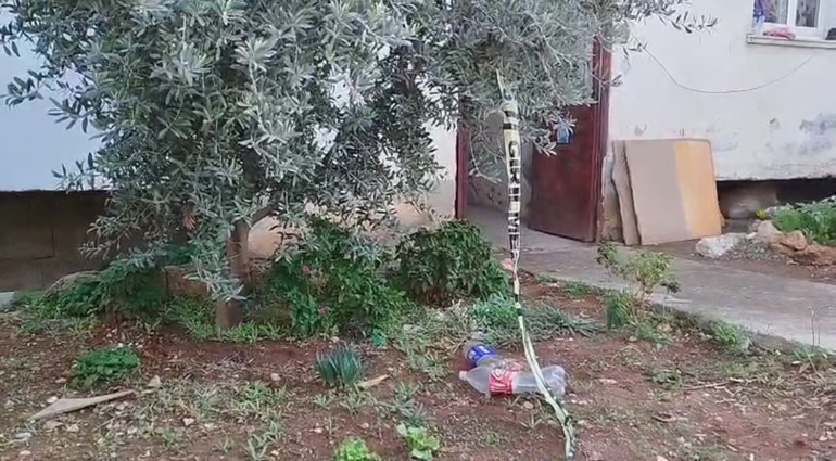 Uzaklaştırma kararı aldırdığı için eşini tüfekle öldürdü