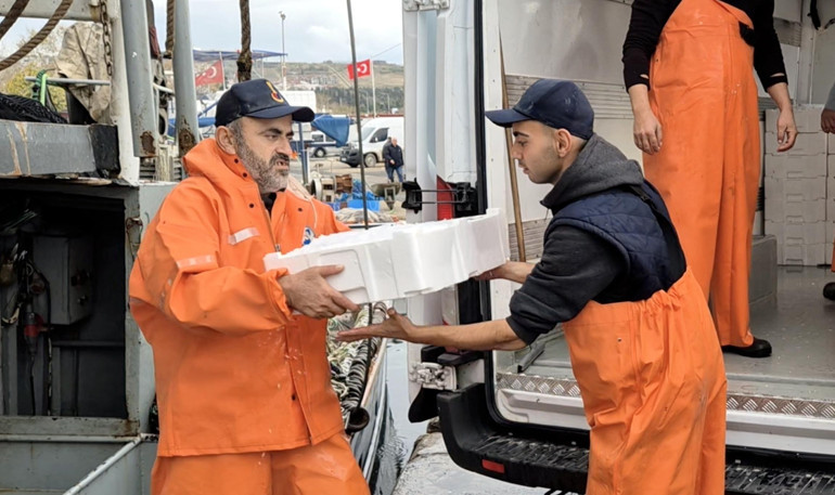 Marmara Denizinden kasa kasa çıkardılar Limanda hareketlilik yaşandı
