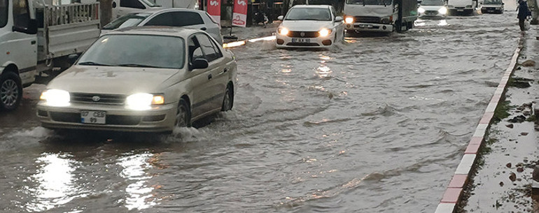 Organize nankörlük