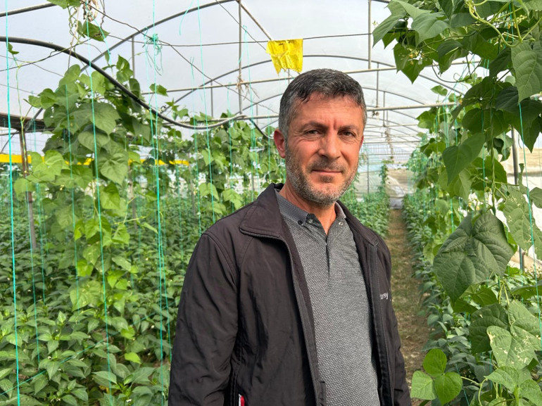 Samandağ biberinin yakından görünümü