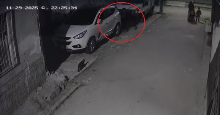  Çocuğun kafasını otomobile çarpıp yere fırlattı