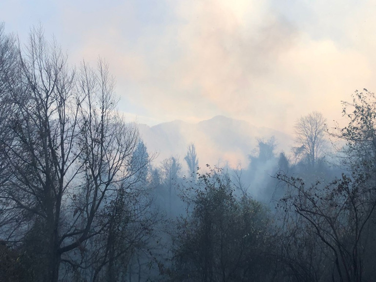 Artvin’de örtü yangını ormana yayıldı