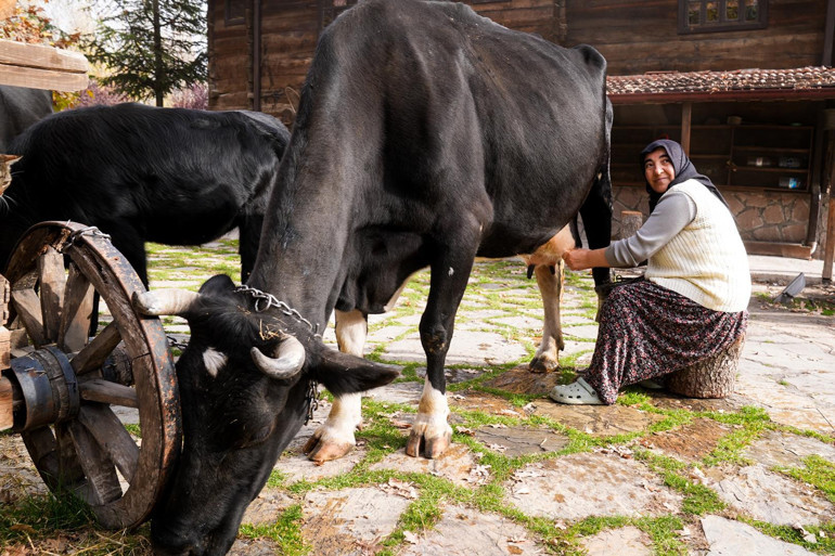 Altınköy’den salep daveti