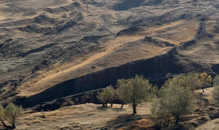 Yeni bulgular ortaya çıktı