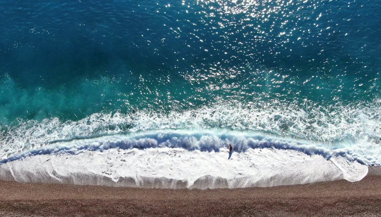 Akdenizde balıklar arasında rekabet: Kızıldeniz türleri yerli türleri baskılıyor Çözümü yok zamanla denge oluşacak