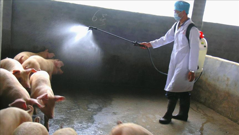  Mücadele için asker görevlendirildi