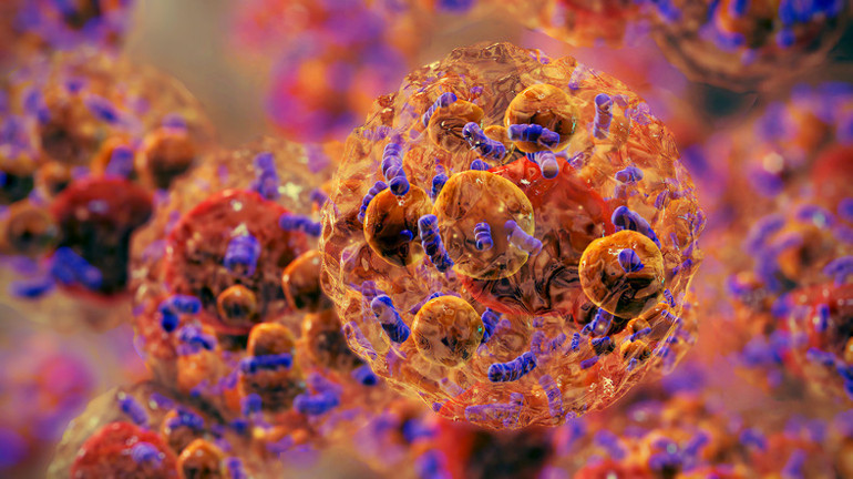 Titremek yağ yakmaya yardımcı olur mu 15 dakikası 1 saatlik egzersize denk Sihirli gibi pazarlanıyor ama etkisi kalıcı mı