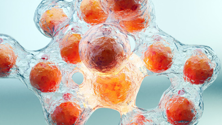 Titremek yağ yakmaya yardımcı olur mu 15 dakikası 1 saatlik egzersize denk Sihirli gibi pazarlanıyor ama etkisi kalıcı mı