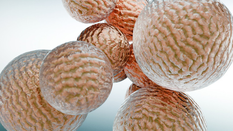 Titremek yağ yakmaya yardımcı olur mu 15 dakikası 1 saatlik egzersize denk Sihirli gibi pazarlanıyor ama etkisi kalıcı mı